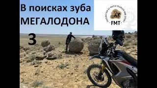 В поисках зуба МЕГАЛОДОНА 3
