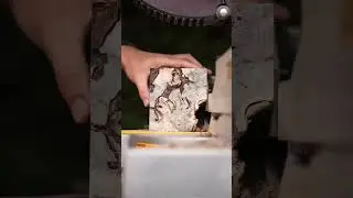 200 chops on a block of Buckeye burl wood looks like this