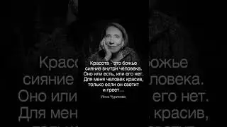 Цитаты дня