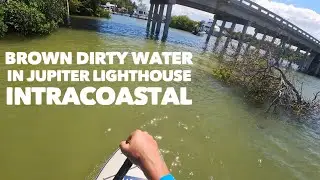 Water Turns Brown in Jupiter, Florida