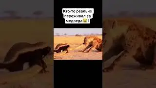 Неофициальный Царь зверей😎