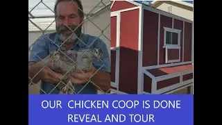 OUR CHICKEN COOP - REVEAL AND TOUR