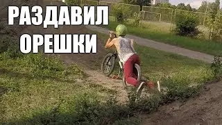 ПОЧЕМУ У БМХ-еров НЕТ ДЕТЕЙ ?