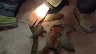yov hav zoov tua tau nas ntau kawg