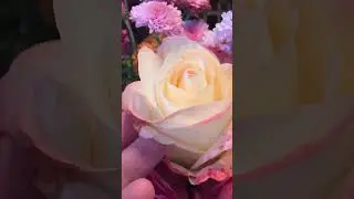7 сентября 2024 г.