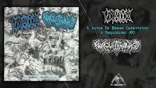 Vômito / Traqueomalácia - split CD FULL ALBUM (2022 - Goregrind)