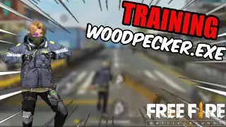 TRAINING - WOODPECKER.EXE