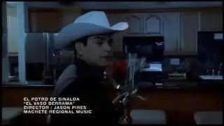 El Potro De Sinaloa   El Vaso Derrama