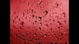 Summer Rain