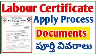How to Apply Labour Certificate | Labour Certificate Required Documents 