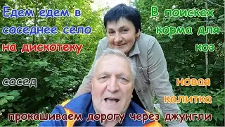 Едем, едем в соседнее село за кормом для коз.Дорога сквозь джунгли.