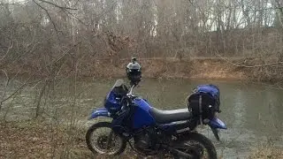 Where Has Rix Been? (Running into Trees)