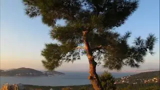 ARTIK SEVMEYECEĞİM (RUMCA)