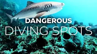 Surviving the Deep | The DARK Side of Scuba Diving