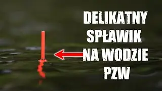 ROACH ELDORADO, i.e. A DELICATE FLOAT on the Polish Angling Association