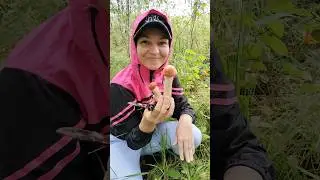 #тихая_охота 🍄 #загрибами #грибы #лес