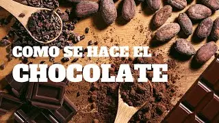 Cómo se hace el chocolate desde el grano de cacao 🍫✨