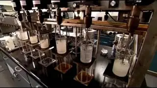 Интересно обо всем  Кукуруза  Ксантановая смесь   камедь