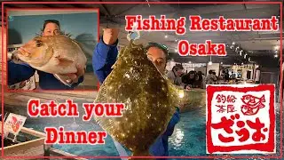 DQ Osaka Fishing Restaurant/ Zauo Fishing Restaurant/ Sea bream /Flounder fish/ travel Japan