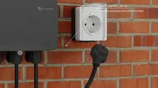 PAL PCR 2Z EU Setup