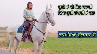Stud Farm | Model Girl | Horse Riding | Photoshoot | The Universal Boss