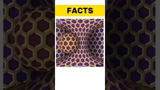 It Is Moving | #illustration #illusion #ammza #amazingfacts #opticalillusion #knowledge #new #fact