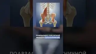 Почему болит в области тазобедренного сустава. Как лечить тазобедренный сустав.