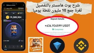 شرح بوت هامستر Hamster Kombat Bot و طريقة الربح منه و كيفية السحب | جمع 10 مليون كوين يوميا