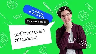 Эмбриогенез Хордовых | ЕГЭ БИОЛОГИЯ 2021 | Онлайн-школа СОТКА
