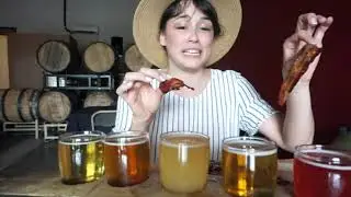 A Culmination of BEER IN PORTLAND | Morning Beer