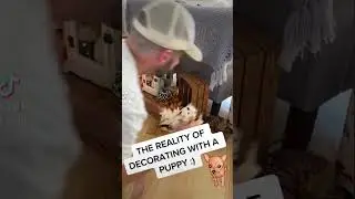 DECORATING WITH A PUPPY!