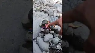Menemukan Mainan Monster Di Sungai