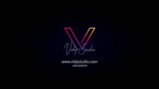 Vidz Studio logo Animation