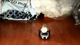 Робот говорун (robotSpeaker)