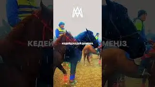 Байды да Бай демеңіз