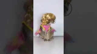 #cat #fup