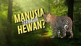 Are Humans Animals❓ Different Yet The Same❗ Understanding What the Animal Kingdom Is 
