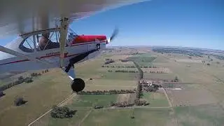 Kitten J3 Argentina - 20 nudos de viento... había piloto :P?