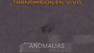 Anomalías