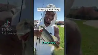 Let's Fish