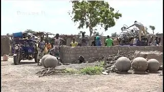 Farmer-Livestock Breeder Conflict in Fada N’Gourma: Cattle Arrive, Farmers Pack Up
