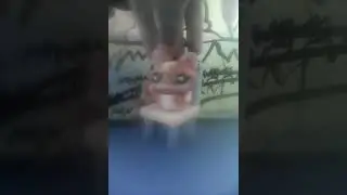 Студия LPS, новость!