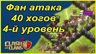 40 хогов 4-го уровня | Фан атака | Clash of Clans