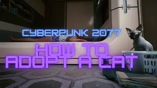 How to adopt cat Nibbles Cyberpunk 2077