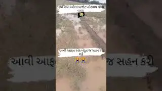 માવઠાથી ખેડૂતો ને નુકસાન 🌱 માવઠા એ ખેડૂતો ને રડાવ્યા 😭😭