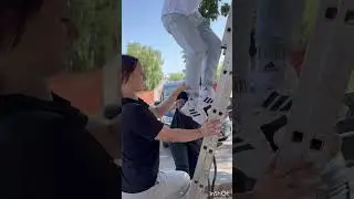 🔹Почему мяукает дерево⁉️ 