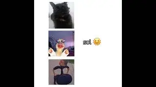 qual o sol kkkkk