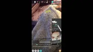 شوفو فضائح السعوديات عالبيجولايف