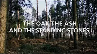 THE OAK, THE ASH and THE STANDING STONES