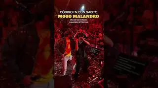Gabito Ballesteros - Código FN “Mood Malandro” (En Vivo)